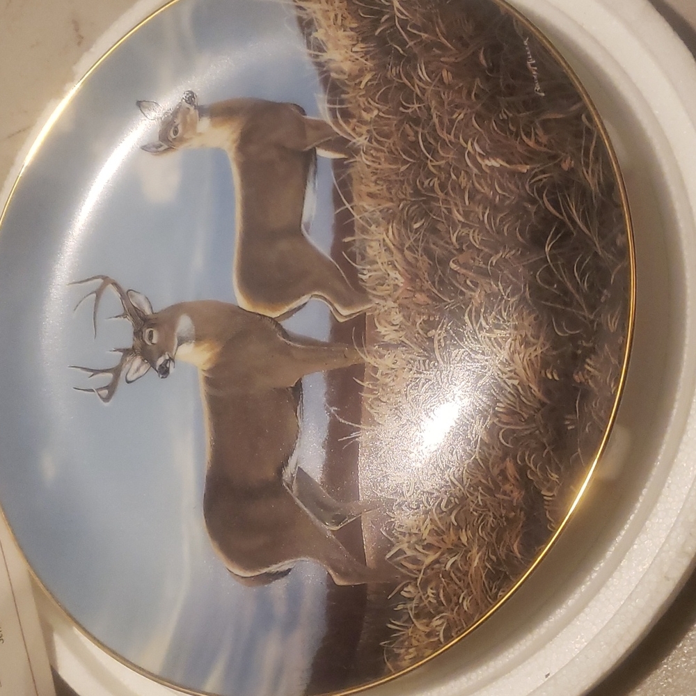 AUTUMN HILLSIDE COLLECTOR PLATE - Picture 2 of 5